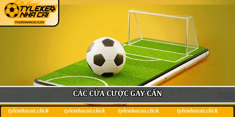 Các cửa cược gay cấn