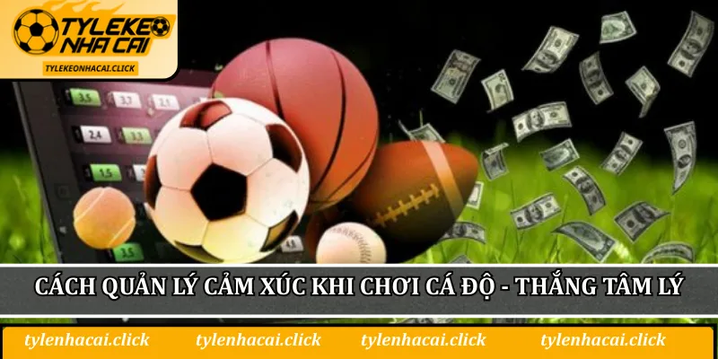 Cách quản lý cảm xúc khi chơi cá độ