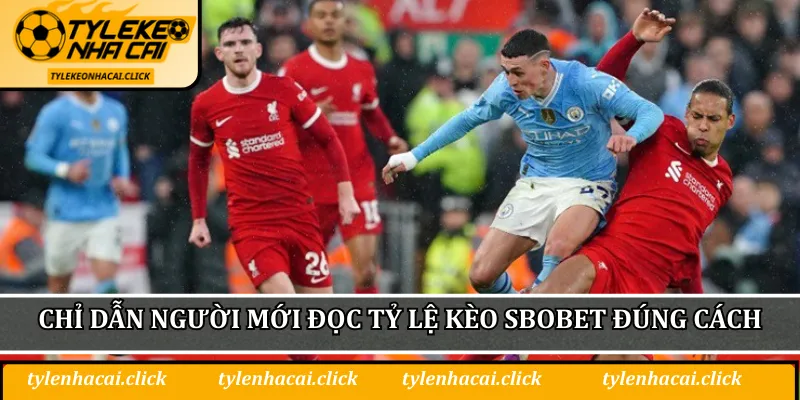 Chỉ dẫn người mới đọc tỷ lệ kèo SBOBET đúng cách