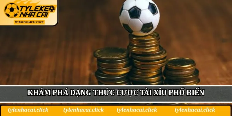 Khám phá dạng thức cược Tài Xỉu phổ biến