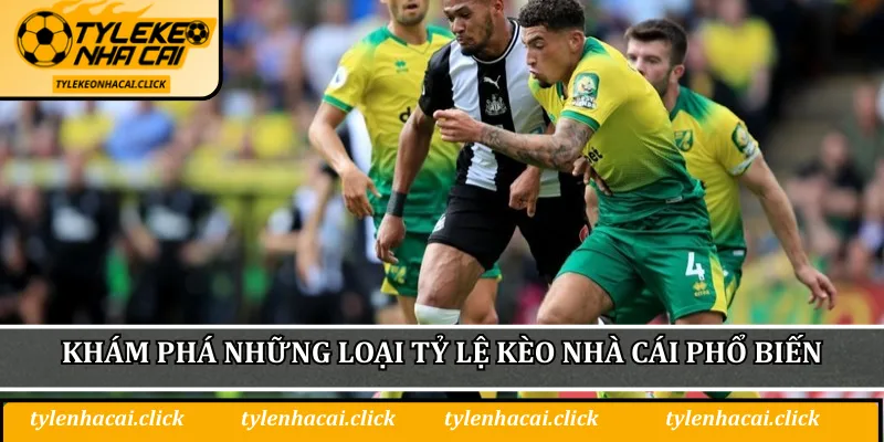 Tỷ Lệ Kèo Nhà Cái Việt Nam - Bí Quyết Lựa Chọn An Toàn 2 Khám phá những loại tỷ lệ kèo nhà cái phổ biến hội viên thường gặp