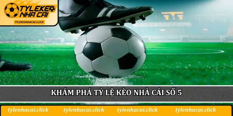 Khám phá tỷ lệ kèo nhà cái số 5