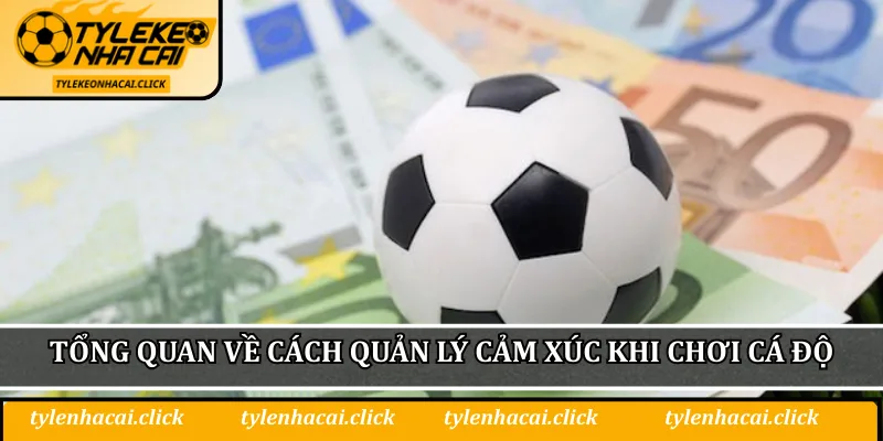 Tổng quan về cách quản lý cảm xúc khi chơi cá độ