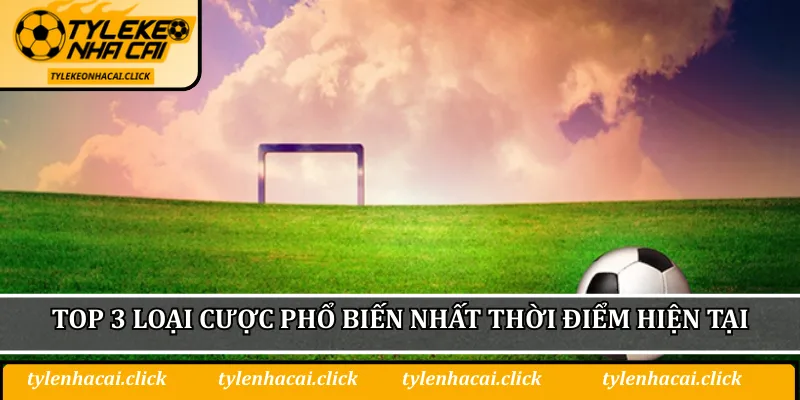 Top 3 loại cược phổ biến nhất thời điểm hiện tại