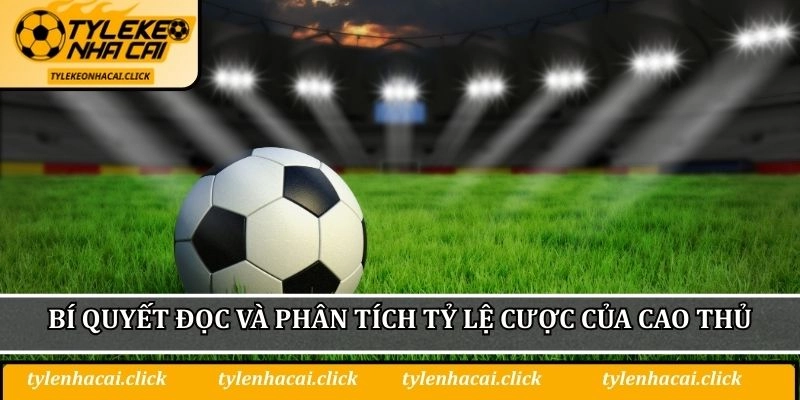 Bí quyết đọc và phân tích tỷ lệ cược của cao thủ