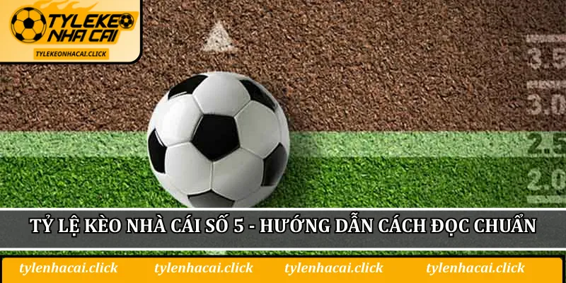 Tỷ lệ kèo nhà cái số 5