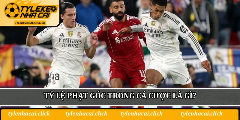 Tỷ lệ phạt góc trong cá cược là gì?
